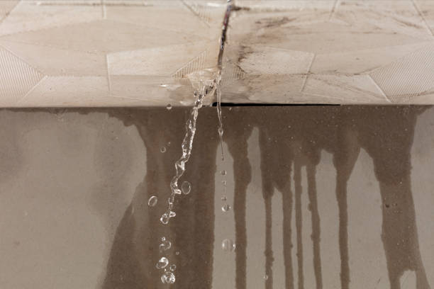 Professional Flood Damage Cleanup technician working in Elkins Park, PA